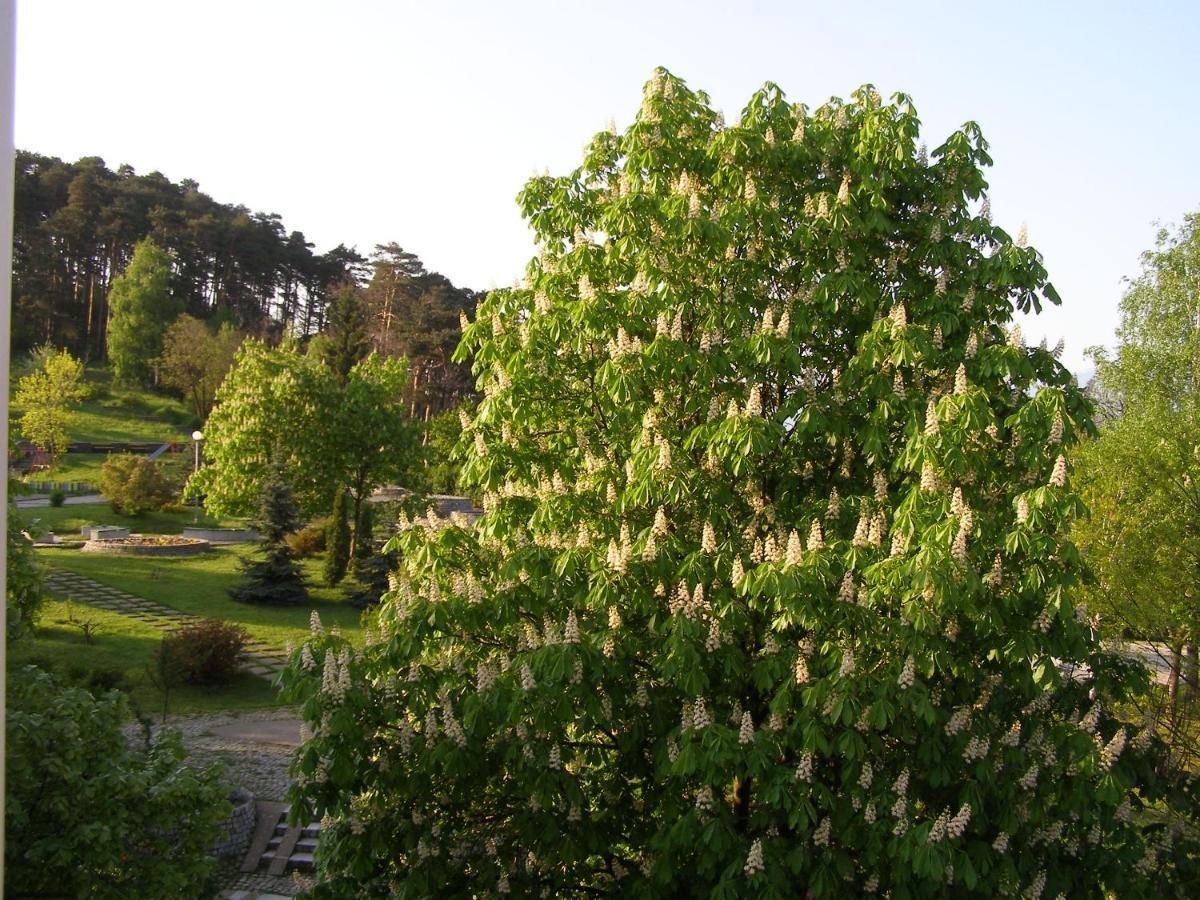 Belogradchik View Apartment Ngoại thất bức ảnh
